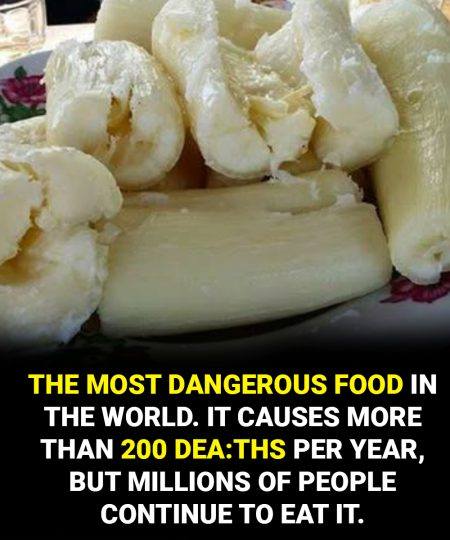 Toxic if improperly prepared: another side of a widely consumed food worldwide
